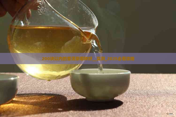 200块以内的普洱茶哪种好