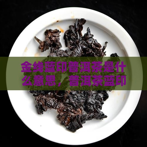 金线蓝印普洱茶
