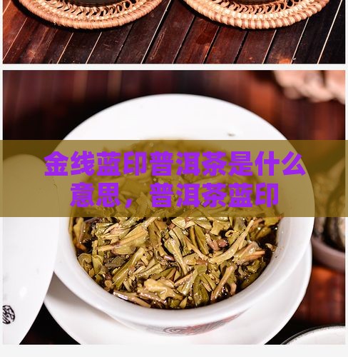 金线蓝印普洱茶