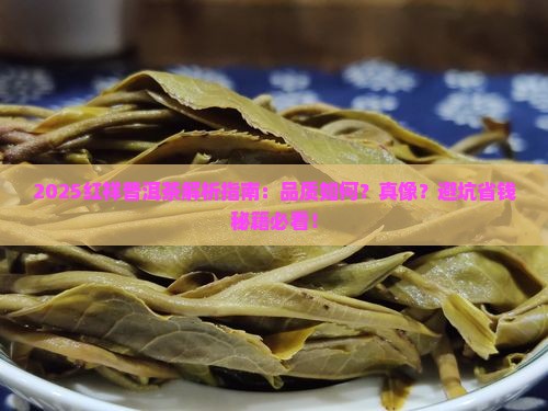 红祥普洱茶怎么样