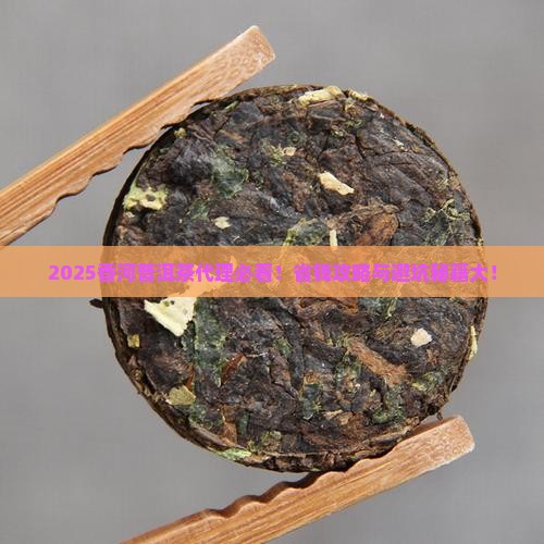 香河普洱茶代理