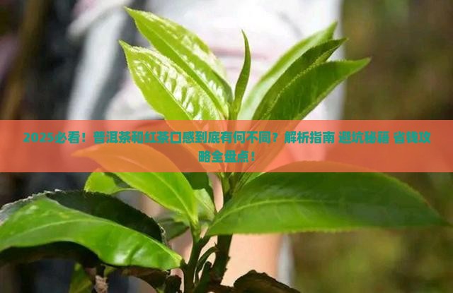 普洱茶和红茶的口感