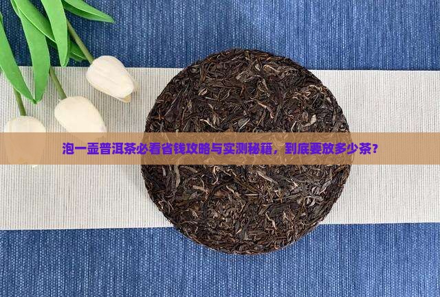 泡一壶普洱茶需要多少茶