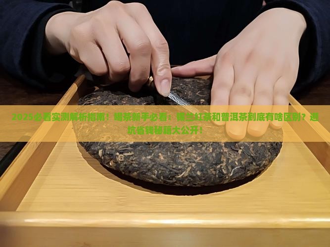 锡兰红茶加普洱茶区别在哪