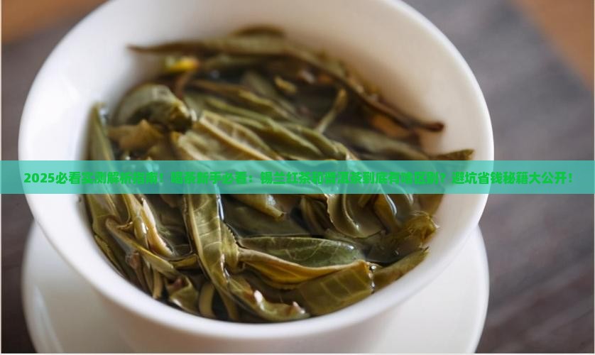 锡兰红茶加普洱茶区别在哪