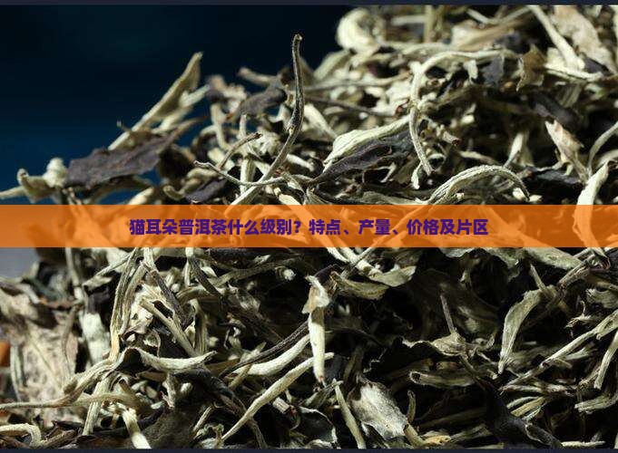 猫耳朵普洱茶什么级别
