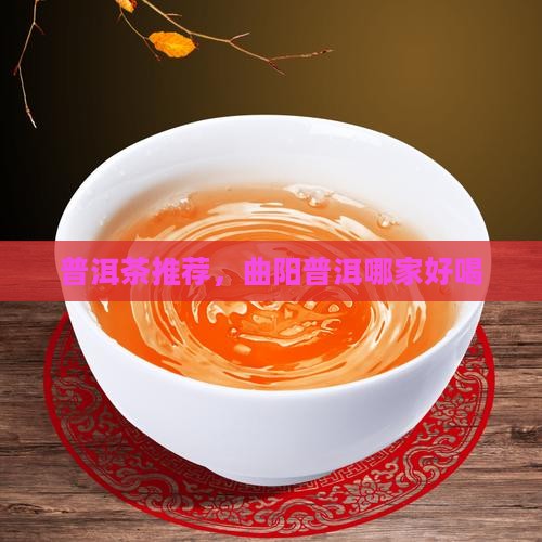 曲阳普洱茶哪家好喝
