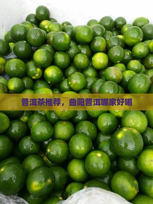 曲阳普洱茶哪家好喝