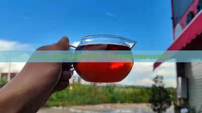2006年大益熟普洱茶