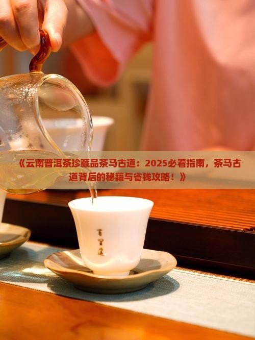云南普洱茶珍藏品茶马古道