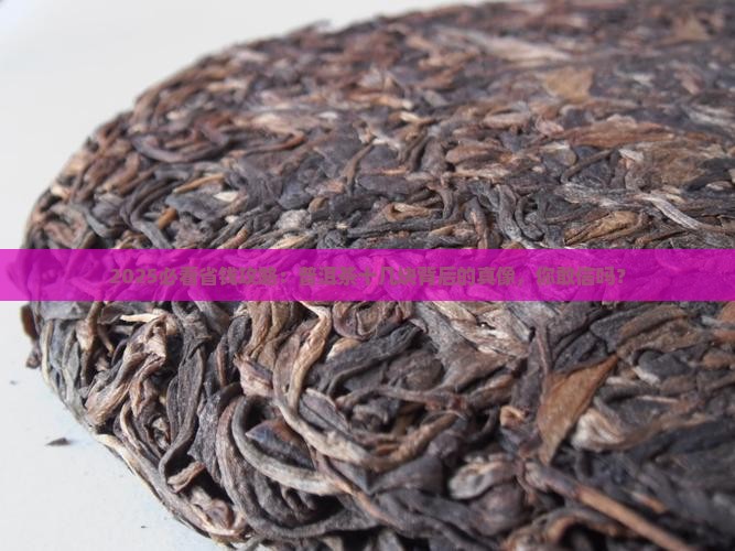 为什么有的普洱茶十几块
