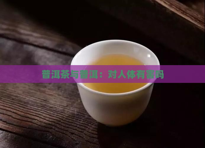 云南普洱茶对人体有害吗