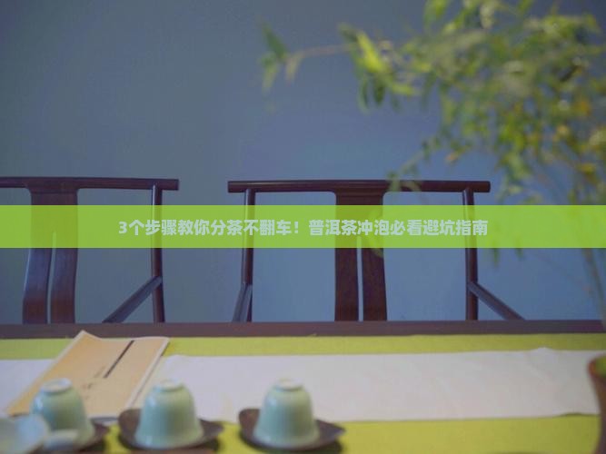 普洱茶冲泡过程中用于分茶