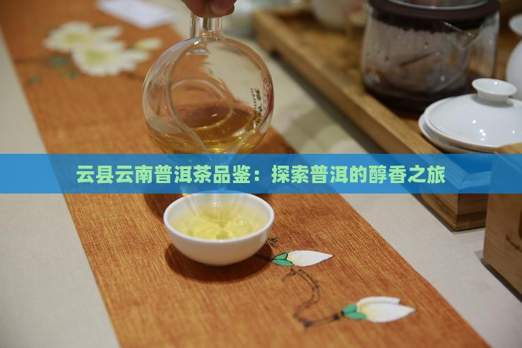 在云县品普洱茶