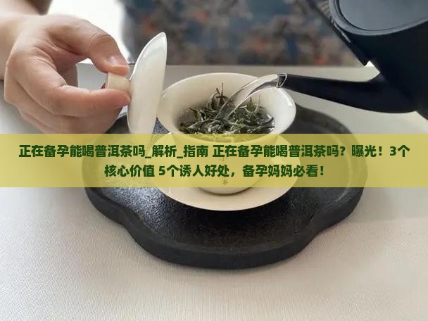 正在备孕能喝普洱茶吗