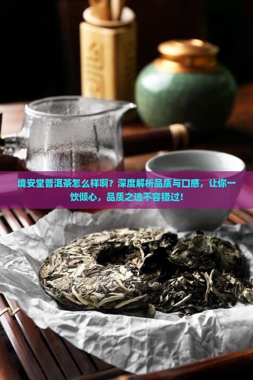 境安堂普洱茶怎么样啊