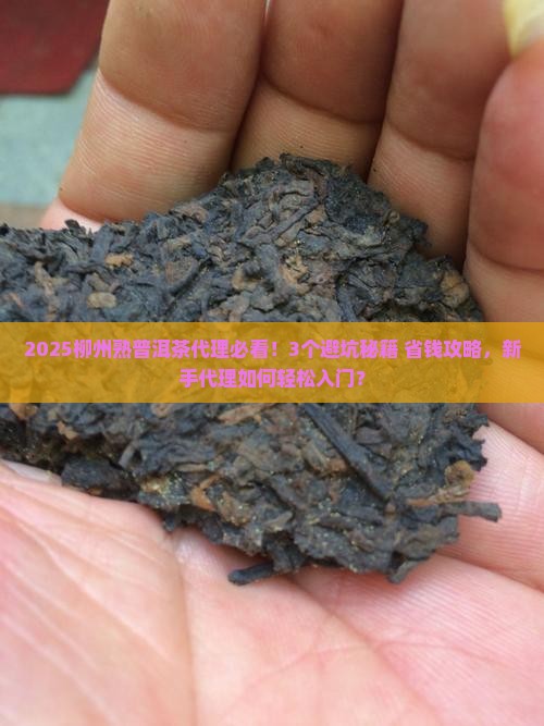 柳州熟普洱茶代理招商电话