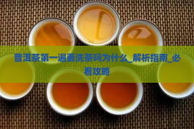 普洱茶第一遍要洗茶吗为什么