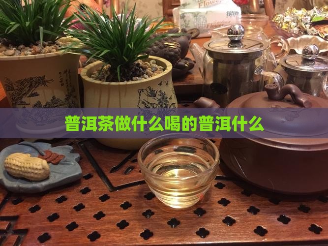 普洱茶做什么喝的