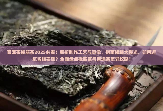 普洱茶橡筋对比