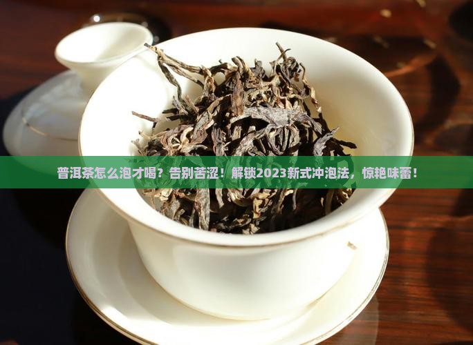 普洱茶怎么泡的喝就好