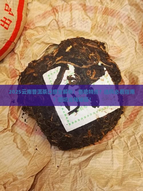 云南各地普洱茶的口感特点