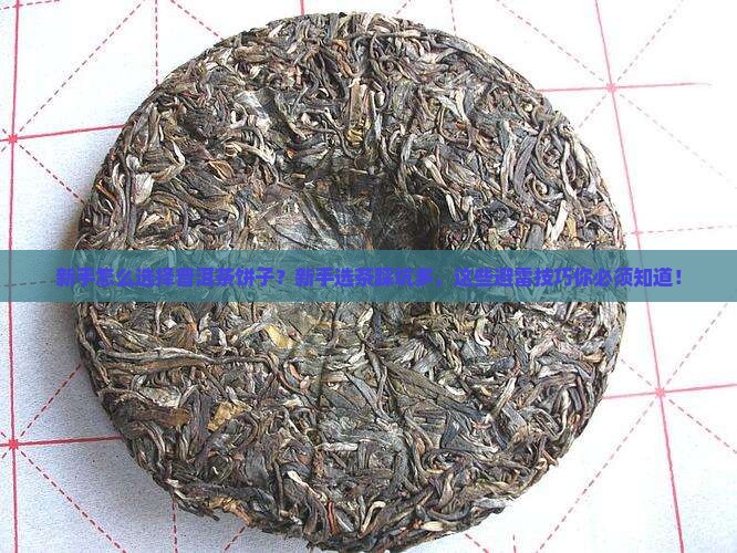 新手怎么选择普洱茶饼子