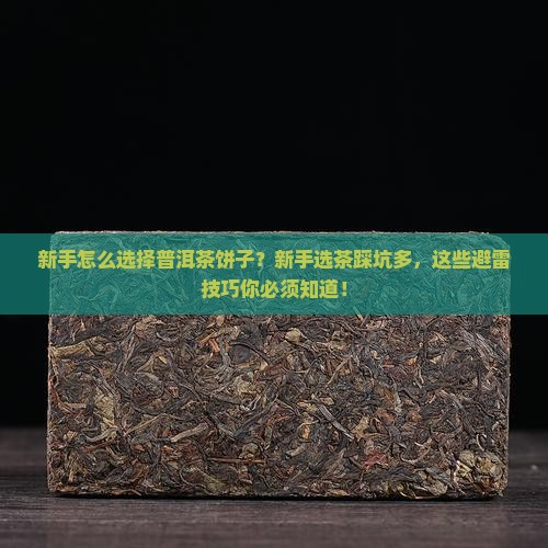 新手怎么选择普洱茶饼子