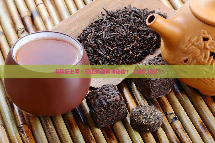 老同志普洱茶编号什么意思