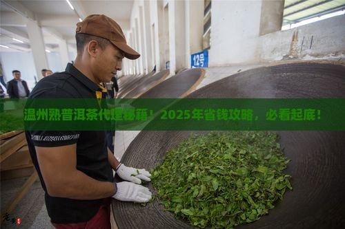 温州熟普洱茶渠道代理招商