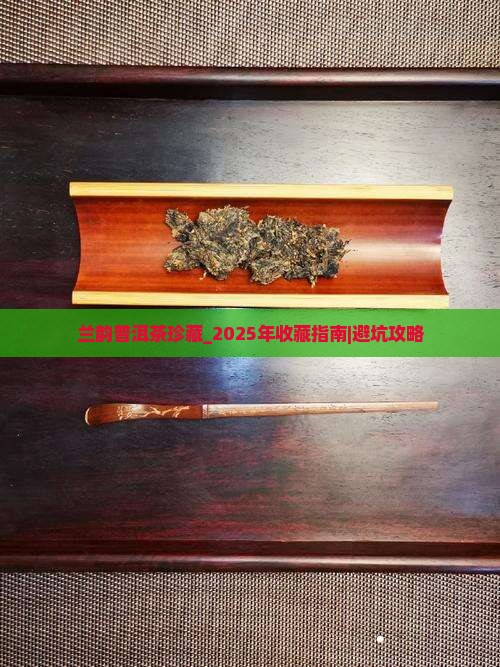 兰韵普洱茶珍藏