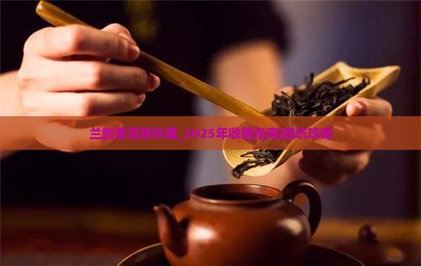 兰韵普洱茶珍藏