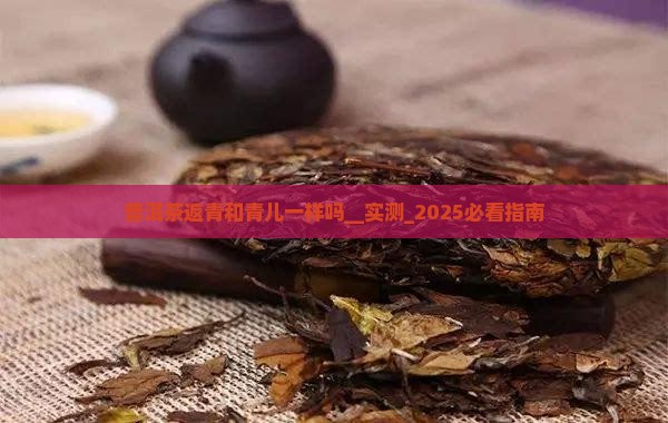 普洱茶返青和青儿一样吗