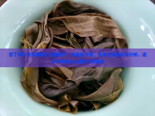 苦丁茶与普洱茶哪个去脂好