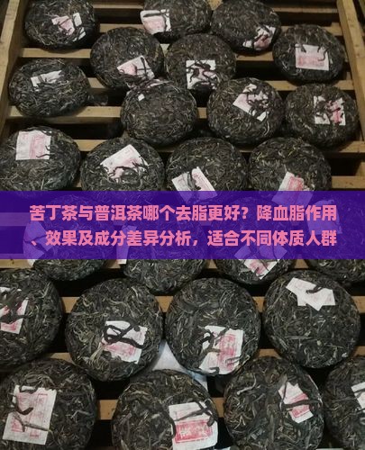 苦丁茶与普洱茶哪个去脂好