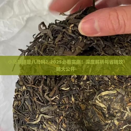 小马茶趣是八马品牌吗