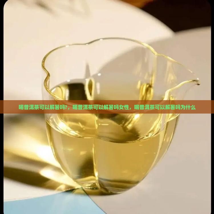 喝普洱茶可以解暑吗