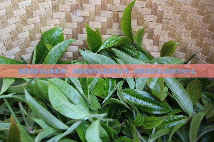 喝普洱茶可以解暑吗
