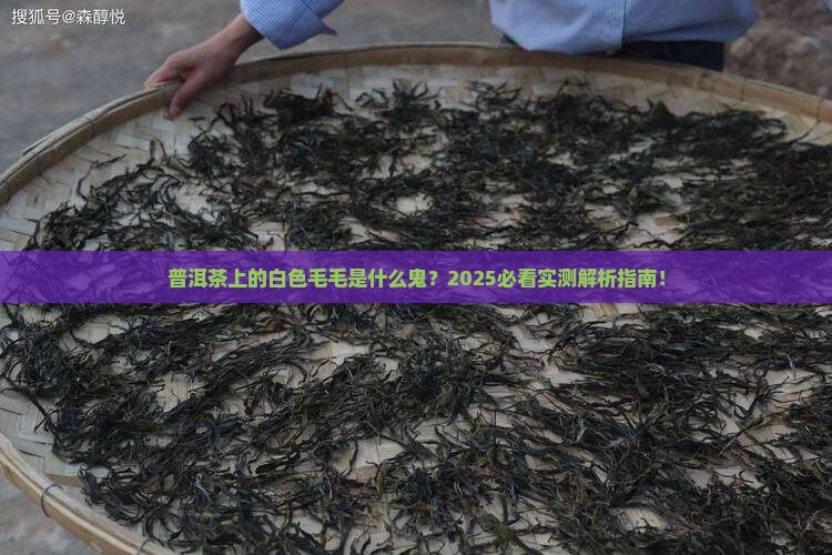 普洱茶上的白色毛毛