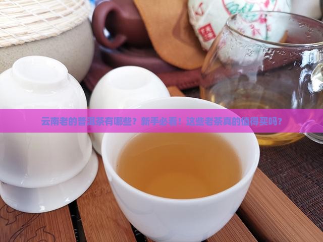 云南老的普洱茶有哪些