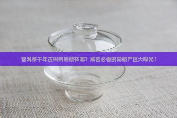 普洱茶千年古树在什么地方生产