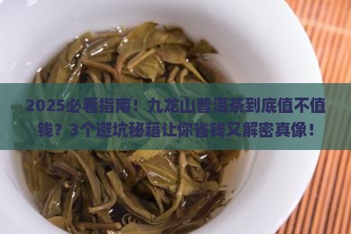 九龙山普洱茶怎么样
