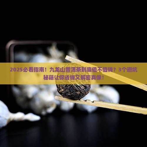 九龙山普洱茶怎么样