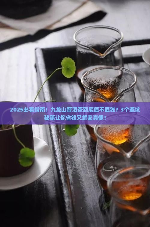 九龙山普洱茶怎么样