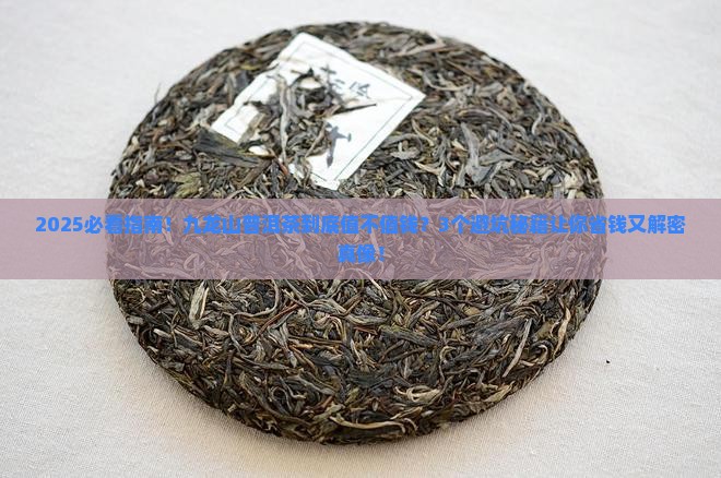 九龙山普洱茶怎么样