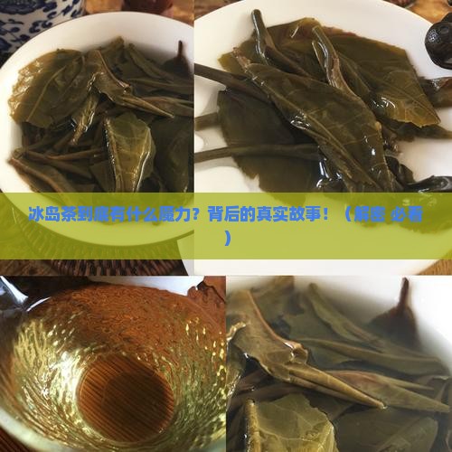 冰岛茶的背景介绍