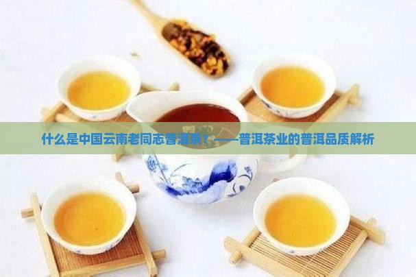 什么是老同志普洱茶
