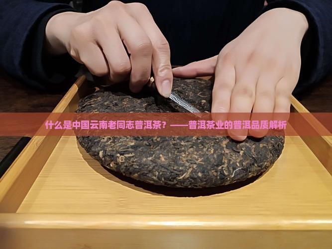 什么是老同志普洱茶