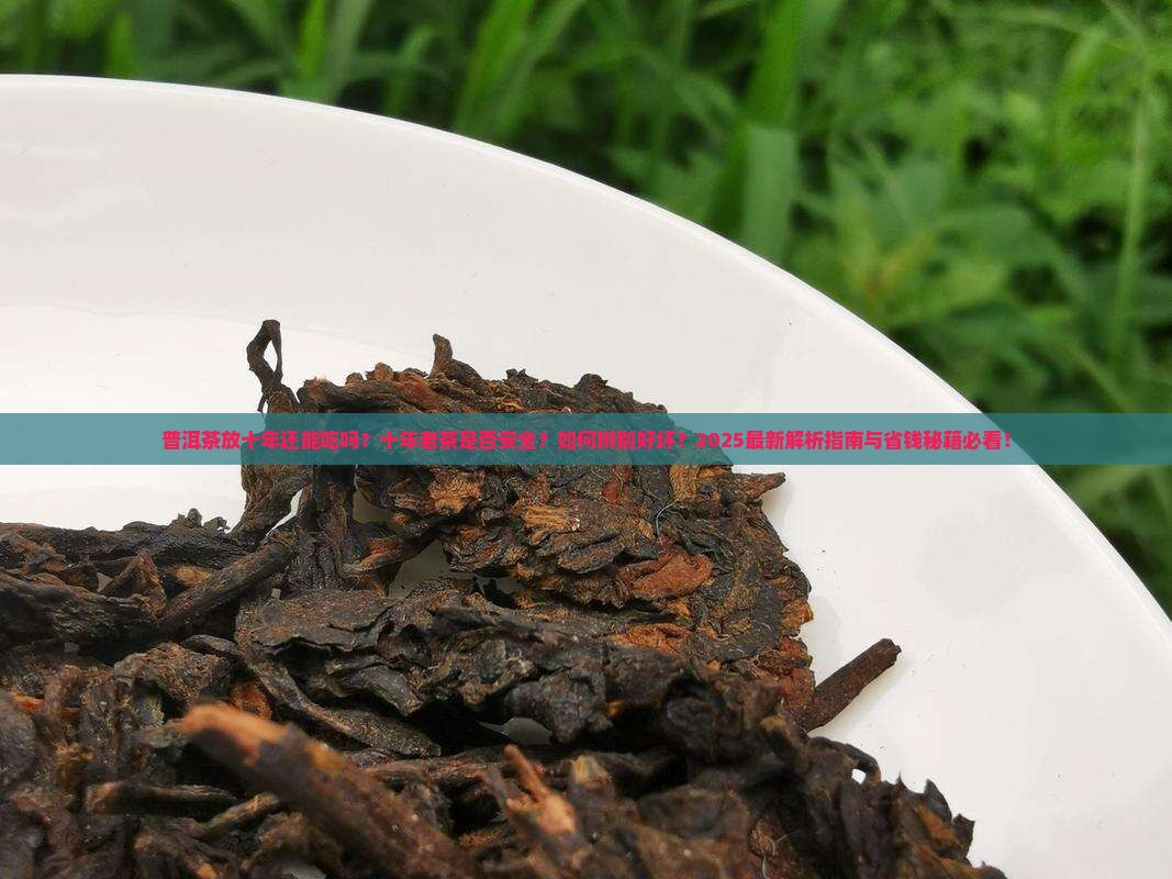 普洱茶放十年还能吃吗