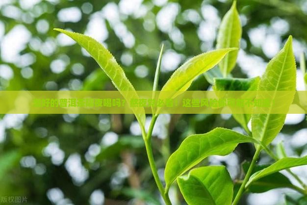 泡好的普洱茶隔夜喝吗